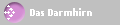 Das Darmhirn